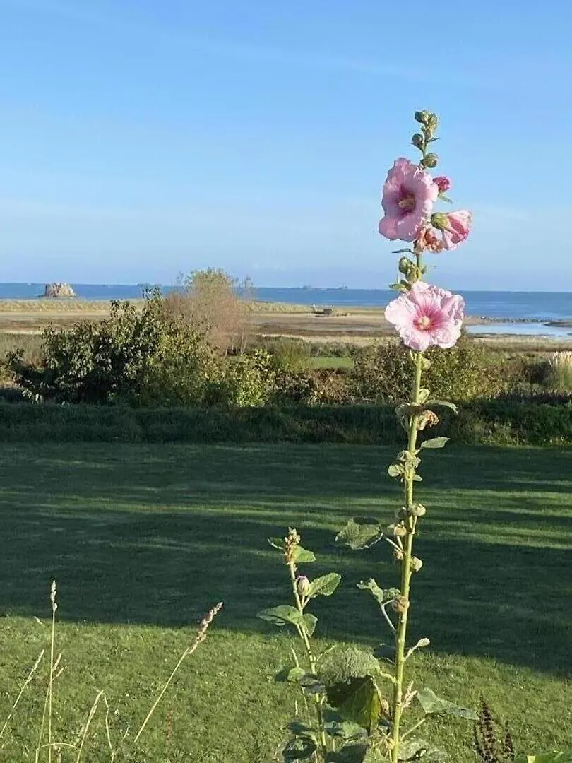 Feriehus La Fringante Villa Pleubian